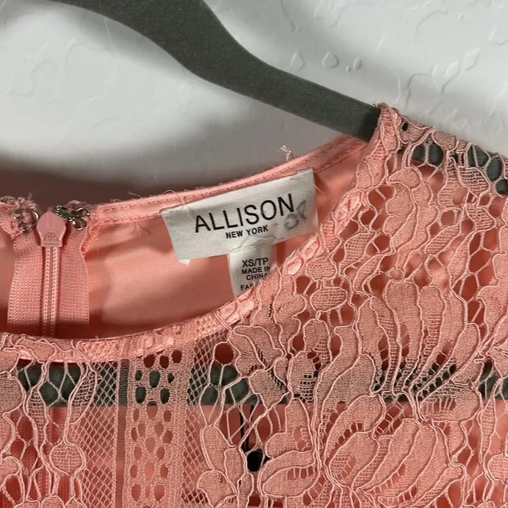ALLISON NY Blush Lace Tiered Midi Dress XS NWT Cottagecore Romantic - Picture 6 of 6